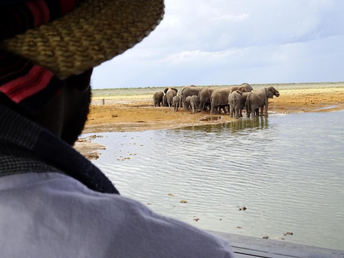 Etosha King Nehale Villa Omuthiya Exteriör bild