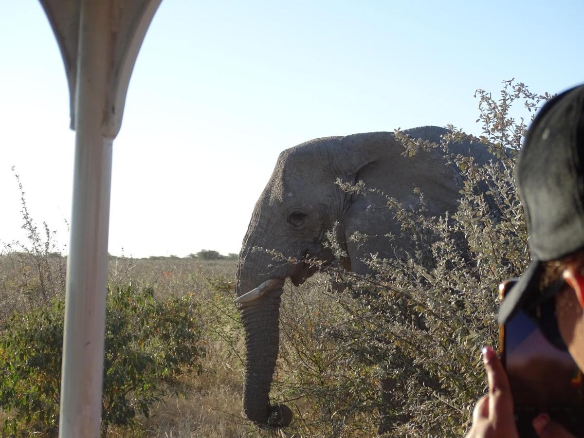 Etosha King Nehale Villa Omuthiya Exteriör bild